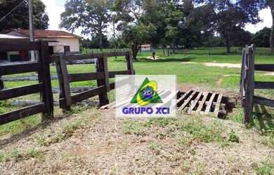 Imagem 12: Fazenda 4.772 Hectares a venda no município de Cocalinho-MT