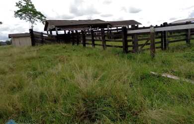 Imagem: A fazenda possui 62m² de Área e está localizado em Jaru