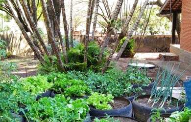 Imagem 15: Chácara à venda, 3000 m² por R$ 1.480.000,00 - Itu - Itu/SP