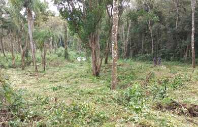 Imagem: O terreno possui 1.000m² de Área e está localizado em Centro
