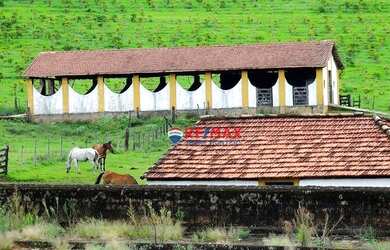 Imagem: A fazenda possui 1.000m² de Área e está localizado em Ponte