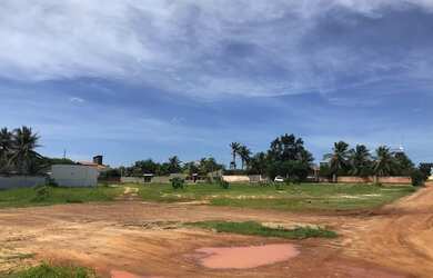 Imagem 12: Terreno com casa para venda tem 10600 metros quadrados em Taíba - São...