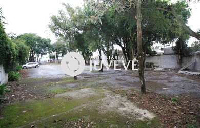 Imagem 8: IMOBILIÁRIA JUVEVÊ ALUGA TERRENO 1087 M² AV NOSSA SENHORA DA LUZ PRX...