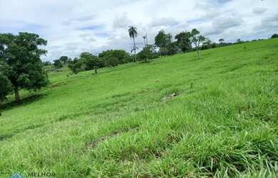Imagem: A fazenda possui 42m² de Área e está localizado em Theobroma