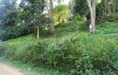 Imagem 1: Terreno à venda, 1250 m² por R$ 130.000,00 - Albuquerque - Teresópolis/RJ