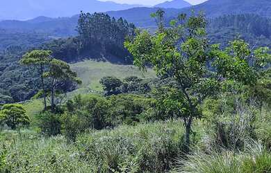 Imagem 4: Sítio à venda por R$ 690.000, 36 hectares, lindas pastegens e nascentes