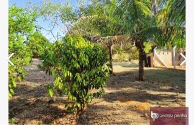 Imagem 1: Terreno à venda, 1060 m² por R$ 140.000,00 - Residencial Vista Alegre...