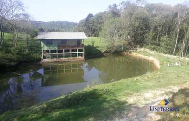 Imagem 4: Chácara com 4 dormitórios à venda, 21514 m² por R$ 1.214.000,00 -...