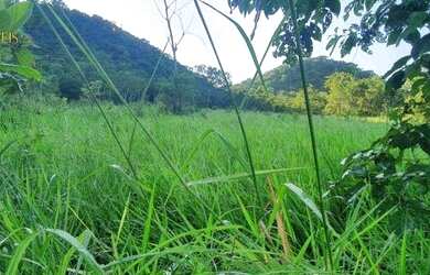 Imagem 12: Fazenda em Cáceres à venda, 17640000 m² por R$ 8.000.000 - Zona Rural...