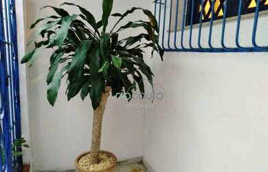 Imagem 16: Maravilhosa casa de 493 m2 à venda por R$ 4.000.000 - Botafogo - Rio...