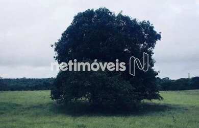Imagem 7: Venda Fazenda Fazenda Exemplo Cachoeira