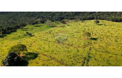 Imagem 15: Fazenda a venda com 86 hectares em Unaí, Minas Gerais