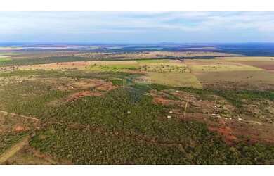 Imagem 5: Terra à venda 30 Hectares Região da Jesualda Paracatu/Unaí MG