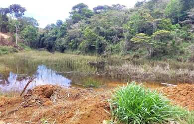 Imagem 15: Vendo maravilhosa fazenda no município de itiuba