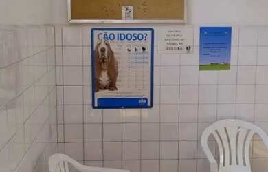 Imagem 14: Terreno, 270 m² - venda por R$ 1.500.000,00 ou aluguel por R$ 15.350,00/mês...