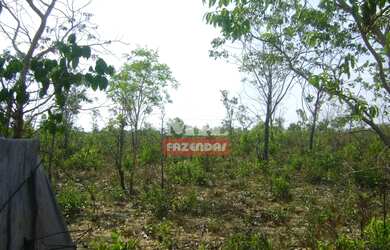 Imagem: A fazenda está localizado em Balsas, MA à venda por R$12.000.000
