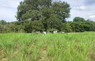 Imagem 5: Excelente Fazenda no Muni. de São Félix Do Araguaia e parte no Muni. de Luciara - MT