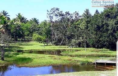 Imagem: A fazenda possui 380000m² de Área e está localizado em Mata