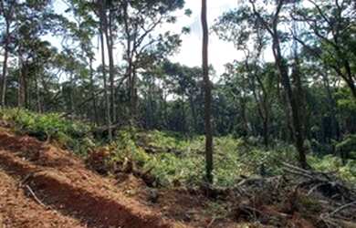 Imagem 2: Vendo terreno em Ibiuna S9TNVD