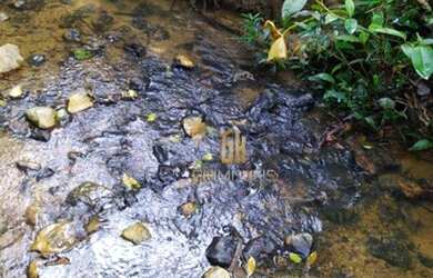 Imagem 4: Sítio à venda, 280784 m² por R$ 1.350.000,00 - Vila República - Goiás/GO