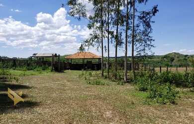 Imagem 14: FAZENDA EM CAMAPUA 15 MIL O HA