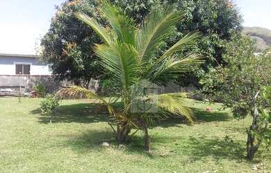 Imagem: O terreno possui 360m² de Área e está localizado em São