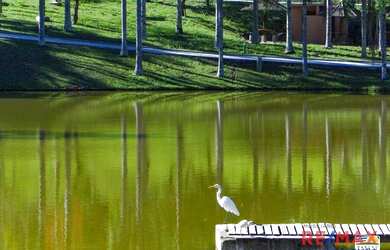 Imagem 8: Área à venda, 46000 m² por R$ 5.000.000,00 - Zona Rural - Itatiba/SP