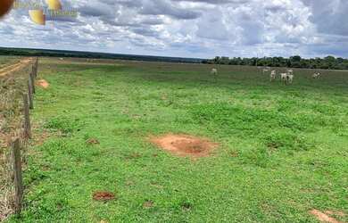 Imagem 15: Fazenda na região Santiago do Norte à venda, m² por R$ 29.999.000 -...