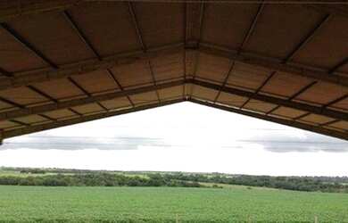 Imagem 3: Fazenda em Primavera do Leste à venda, 3300000 m² por R$ 12.500.000...