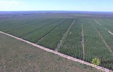 Imagem 1: Fazenda à venda, 1050 Ha - Zona Rural - Rio Sono/TO