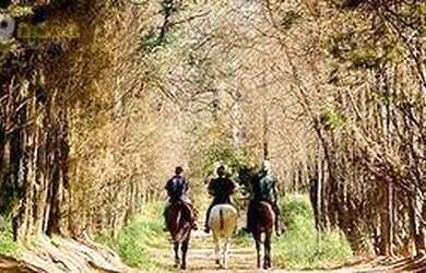 Imagem 13: Terreno à venda, 1098 m² por R$ 680.000 - Kurumin - Itu/SP