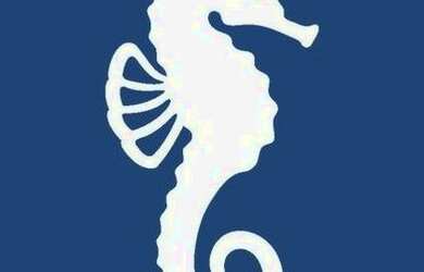 Imagem 13: Ponto para alugar, 200 m² por R$ 3.800,00 - Centro - Ribeirão Preto/SP