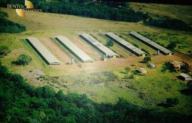 Imagem 12: Fazenda na região de Campo Verde à venda, 330000 m² por R$ 5.172.750...