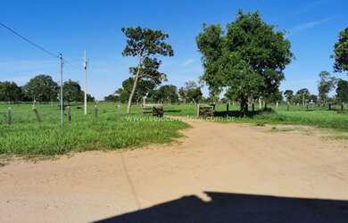 Imagem 14: Excelente Fazenda no Muni. de São Félix Do Araguaia e parte no Muni. de Luciara - MT