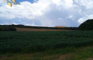 Imagem 11: Fazenda na região de Campo Verde à venda, 330000 m² por R$ 5.172.750...