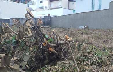 Imagem 7: Terreno à venda, 524 m² por R$ 800.000,00 - City América - São Paulo/SP