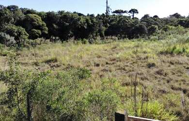 Imagem: O terreno possui 6.500m² de Área e está localizado em Cidade