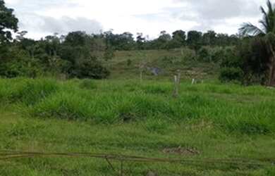 Imagem: Sítio 22 alqueires Vale do Paraíso