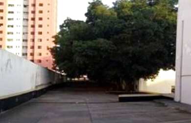 Imagem 15: Galpão - Av. Amador Bueno