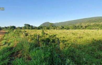 Imagem 6: Fazenda em Cáceres à venda, 17640000 m² por R$ 8.000.000 - Zona Rural...