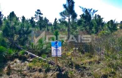 Imagem 2: Terreno a Venda no Bairro Lagoinhas - Balneário Gaivota