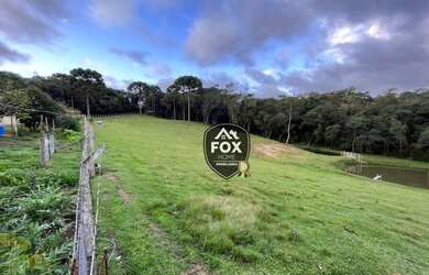 Imagem 7: Chácara com 4 dormitórios à venda, 35000 m² por R$ 1.700.000,00 -...