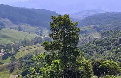 Imagem 3: Sítio à venda por R$ 690.000, 36 hectares, lindas pastegens e nascentes