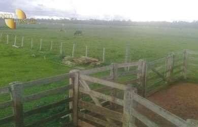 Imagem 2: Fazenda na região Santiago do Norte à venda, m² por R$ 29.999.000 -...