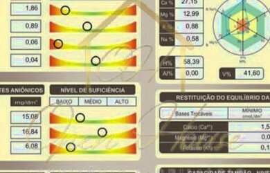 Imagem: A fazenda possui 5.450m² de Área e está localizado em Porto