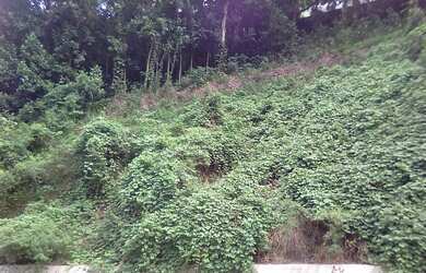 Imagem 2: Terreno no bairro São Conrado Vista Montanha Mar Verde