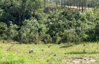 Imagem 12: Lote/Terreno para venda possui 1000 metros quadrados em Jardim Recreio...