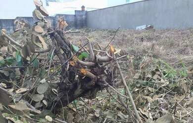 Imagem 9: Terreno à venda, 524 m² por R$ 800.000,00 - City América - São Paulo/SP