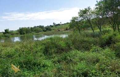 Imagem 16: FAZENDA EM CAMAPUA 15 MIL O HA