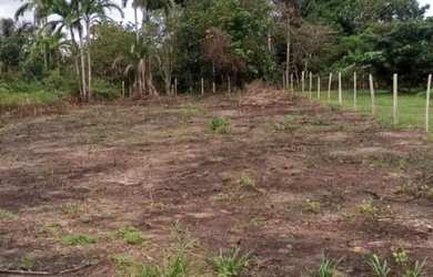 Imagem: O terreno está localizado em Rio Preto da Eva, AM à venda